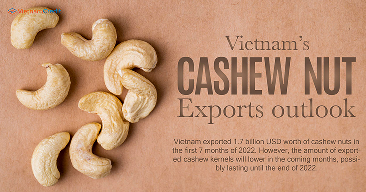 Vietnam’s cashew nut exports outlook